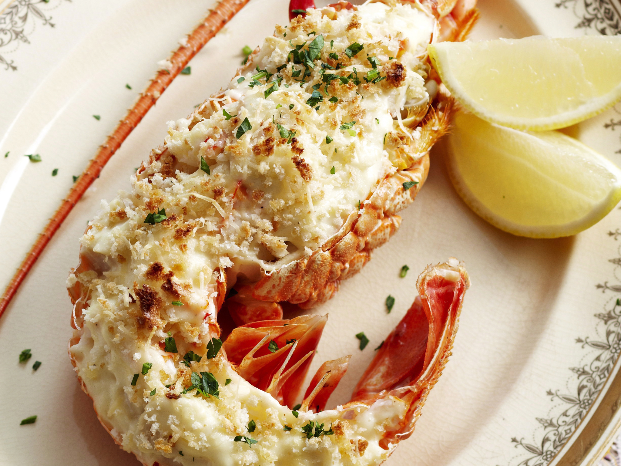 lobster-mornay