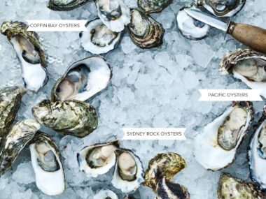 How to shuck, buy & store oysters